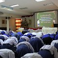 IMG_3684
